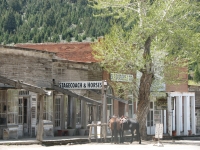 Virginia City